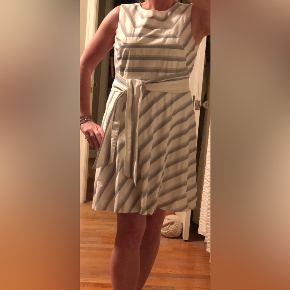 Lined Dress mid length.